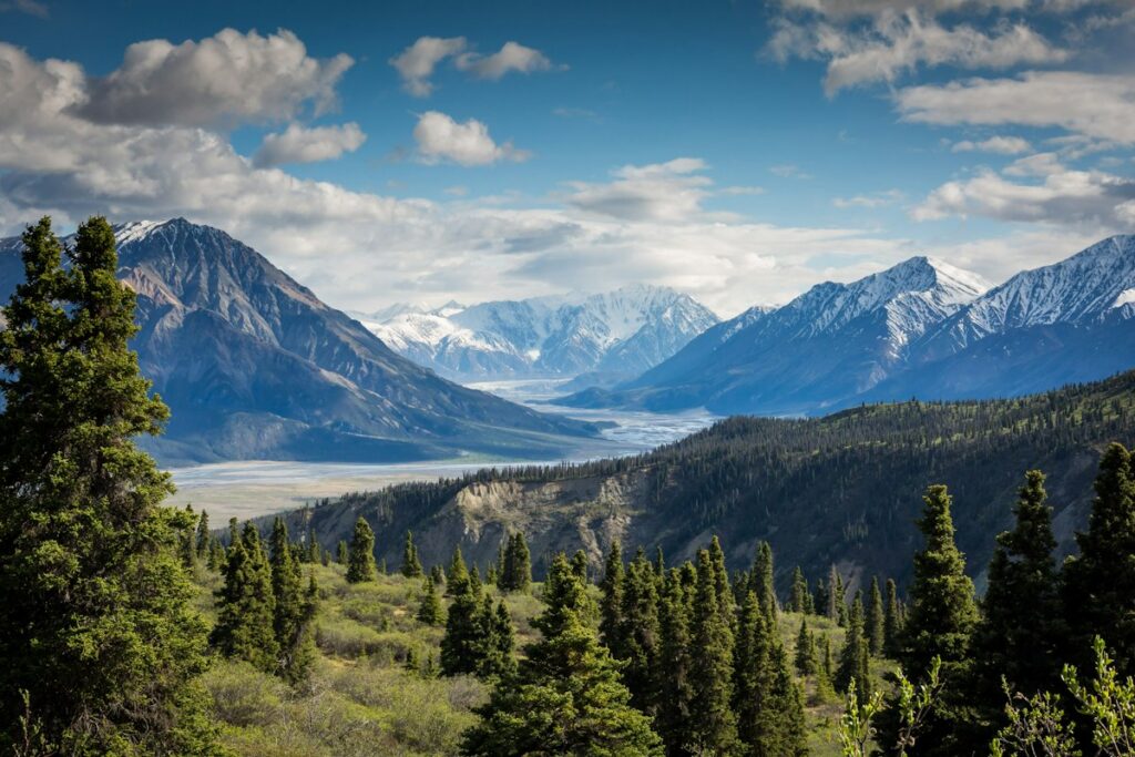 Majestic alpine mountain peaks rising above golden autumn pine forests and morning mist